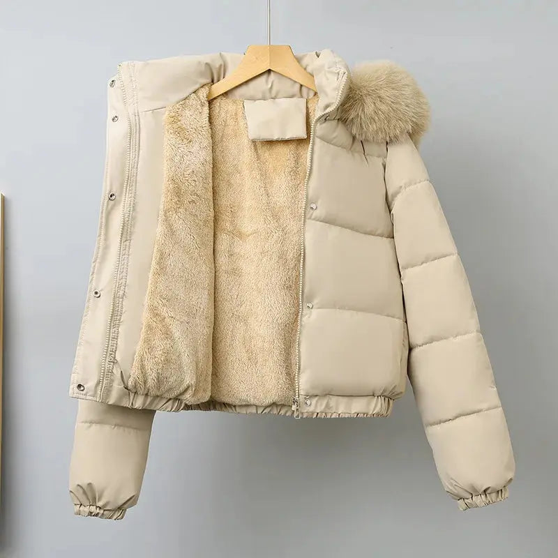 Hooded winter coat showcasing elegant fur collar and stylish design.
