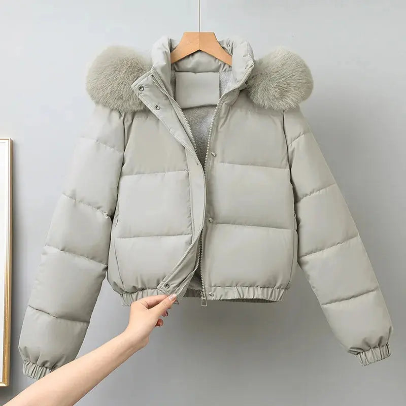 Cozy winter jacket with luxurious fur collar in deep navy blue.