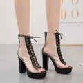 Elegant clear heels showcasing their captivating transparency and modern style.